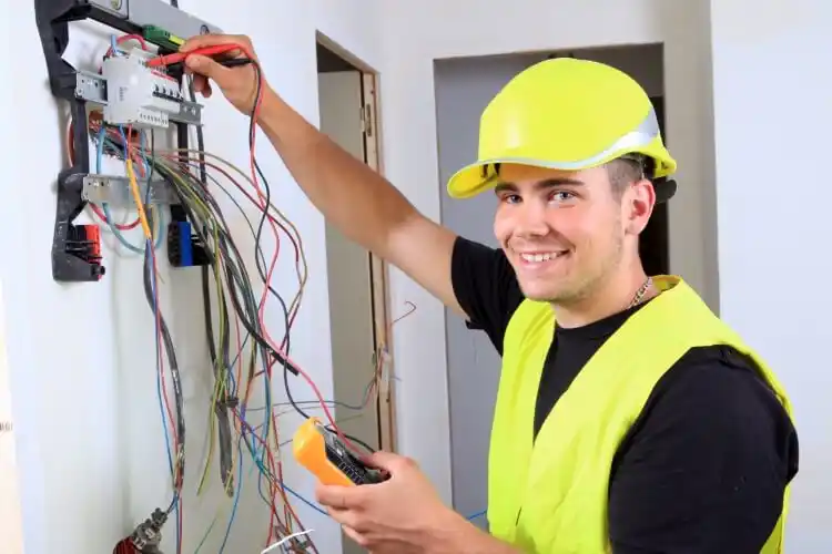 elektricien Visvliet